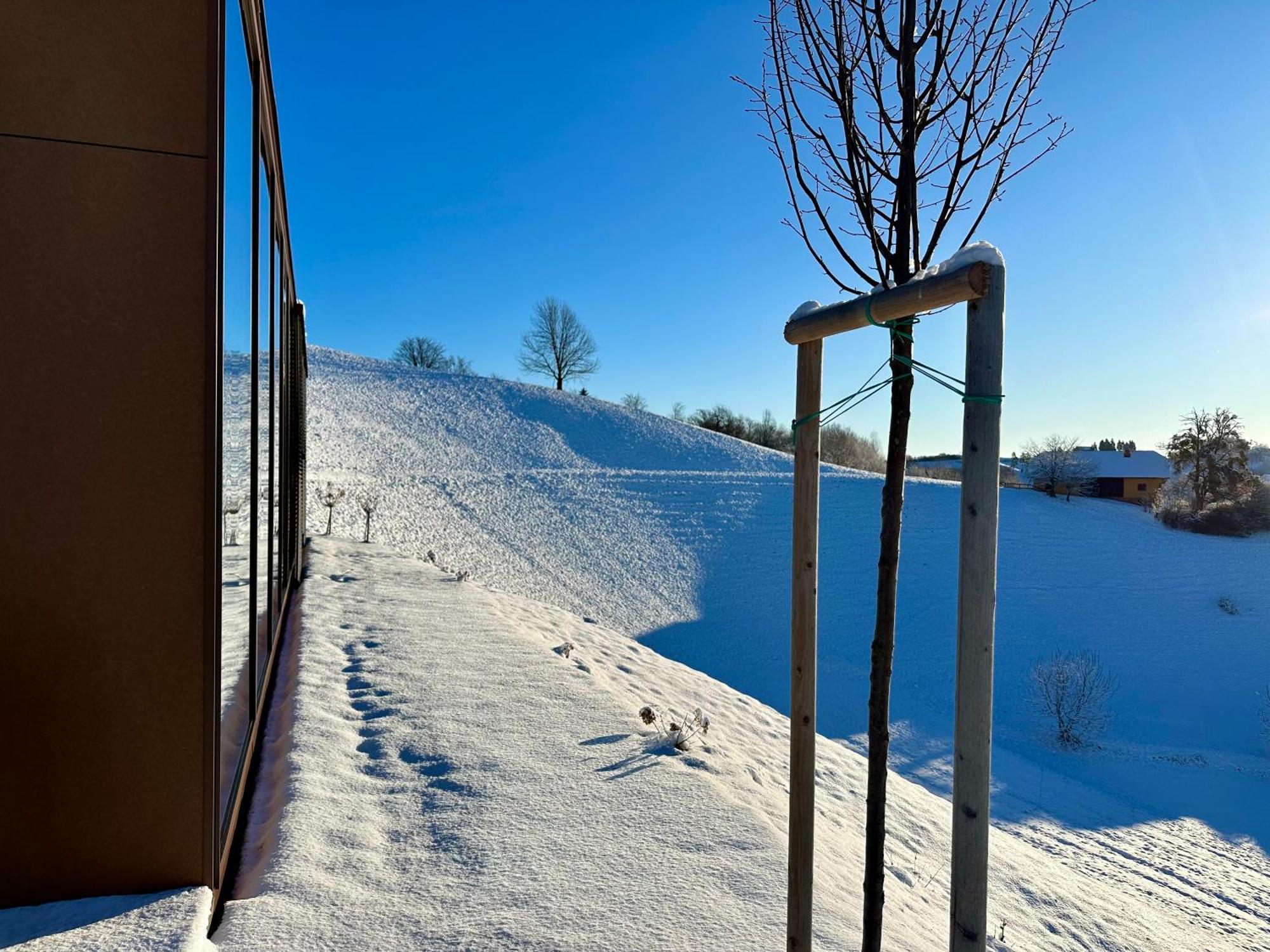 Hisa 1624 - Adults Only Bed & Breakfast Zgornja Kungota Екстериор снимка